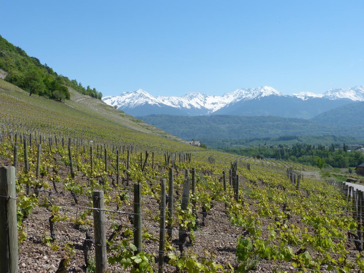 La Cle Des Champs Hotel Montmelian Luaran gambar